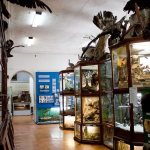 The Altai State Museum of Local Lore is an attraction in Barnaul where tourists can go.