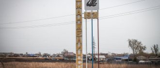 Yemanzhelinsk - the city of the black swan
