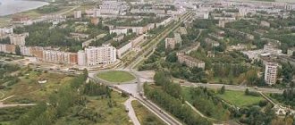 City of Tosno, Leningrad region