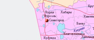 Map of the surroundings of the city of Slavgorod from NaKarte.RU