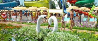 Strict adherence to rules in the water park
