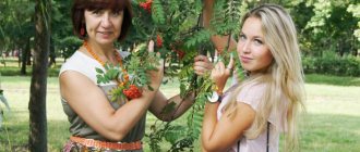 Women in the Belgorod region